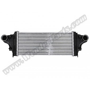 Turbo İnterkol Radyatörü W164 W251 [OM642]